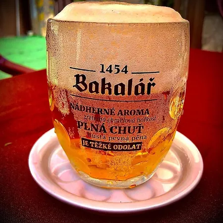 Apartmany Karlstejn Apartment *