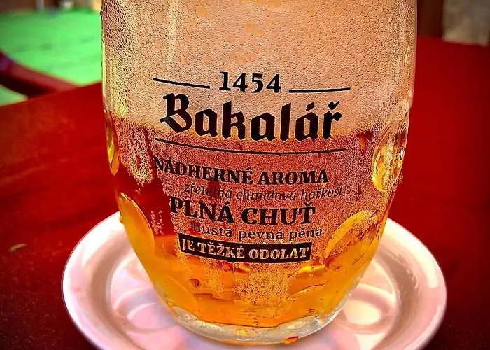 Apartmany Karlstejn Apartment *